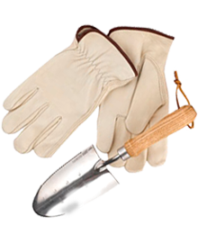 Gartendesign & Beratung